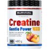 Creatine Monohydrate Gentle Power – 480 g, broskev